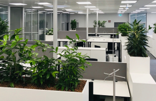 Projekt Schatz Projekt Schatz